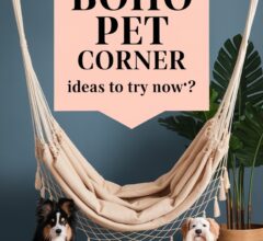 Boho Pet Corner Styling