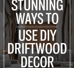 DIY Driftwood Decor