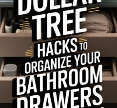Bathroom Drawer Organization Dollar Tree Edition